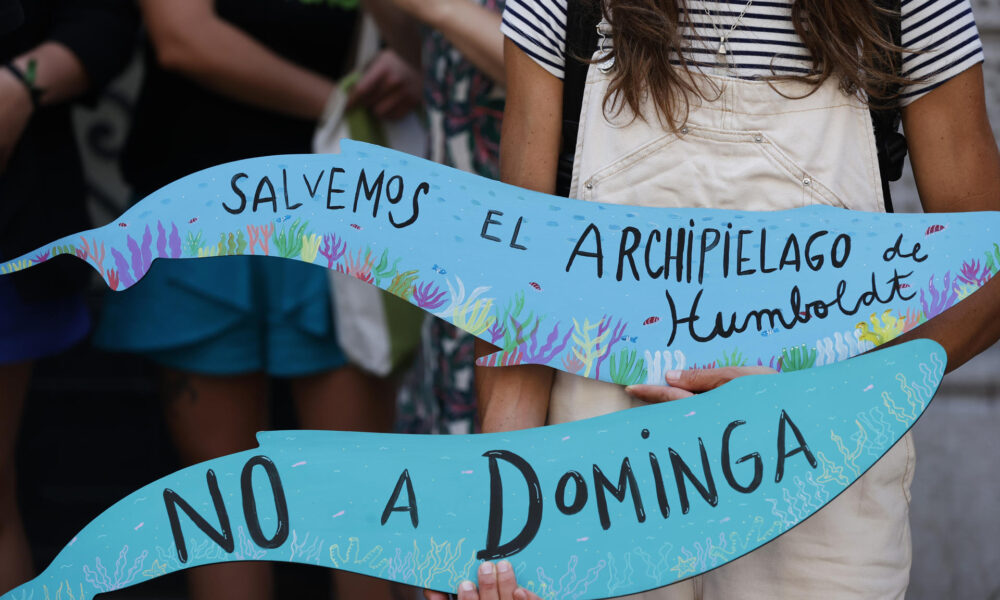 Una mujer sostiene un cartel en una manifestación este miércoles 8 de enero de 2025 durante una sesión extraordinaria del Comité de Ministros de Chile sobre el proyecto minero y portuario 'Dominga', frente al Ministerio de Medio Ambiente, en Santiago. EFE/ Elvis González