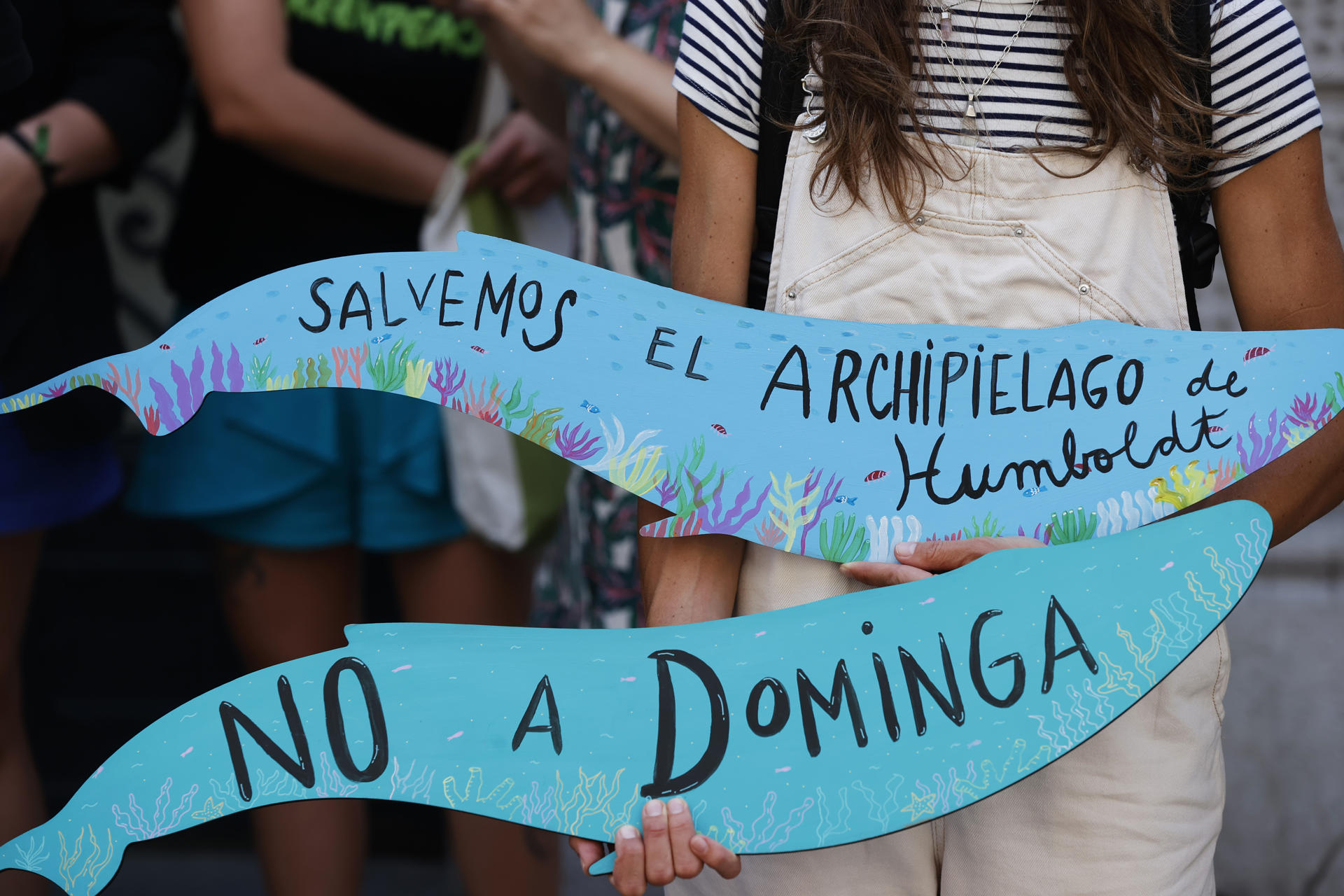 Una mujer sostiene un cartel en una manifestación este miércoles 8 de enero de 2025 durante una sesión extraordinaria del Comité de Ministros de Chile sobre el proyecto minero y portuario 'Dominga', frente al Ministerio de Medio Ambiente, en Santiago. EFE/ Elvis González