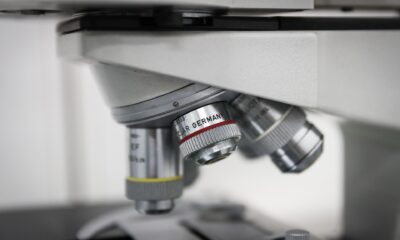 Vista de un microscopio, en una fotografía de archivo. EFE/Raúl Martínez