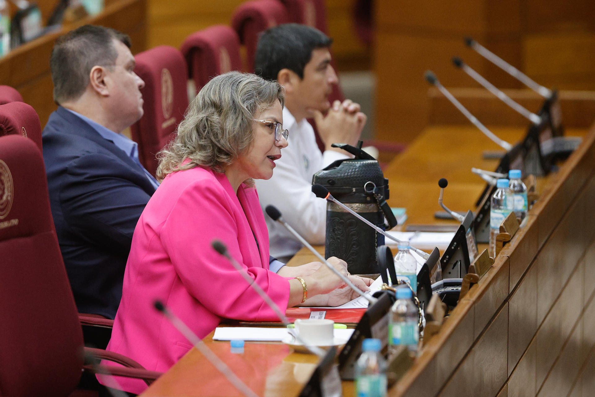 La congresista Lilian Samaniego (i), habla durante una sesión en la Cámara de diputados este miércoles, en Asunción (Paraguay). EFE/ Juan Pablo Pino