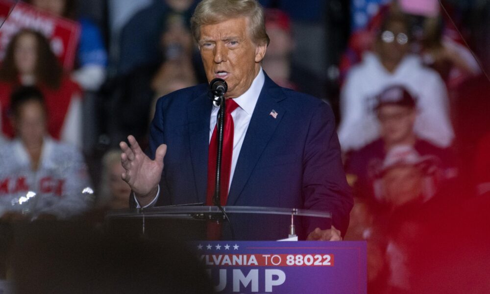 Fotografía de archivo del presidente electo de EE.UU., Donald J. Trump. EFE/EPA/DAVID MUSE