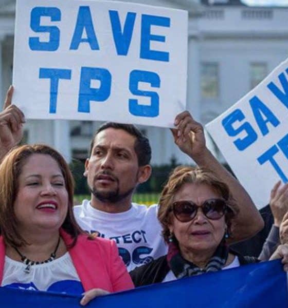 350,000 venezolanos con TPS quedarían desprotegidos