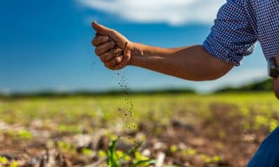 Preserva tierras agrícolas para las futuras generaciones