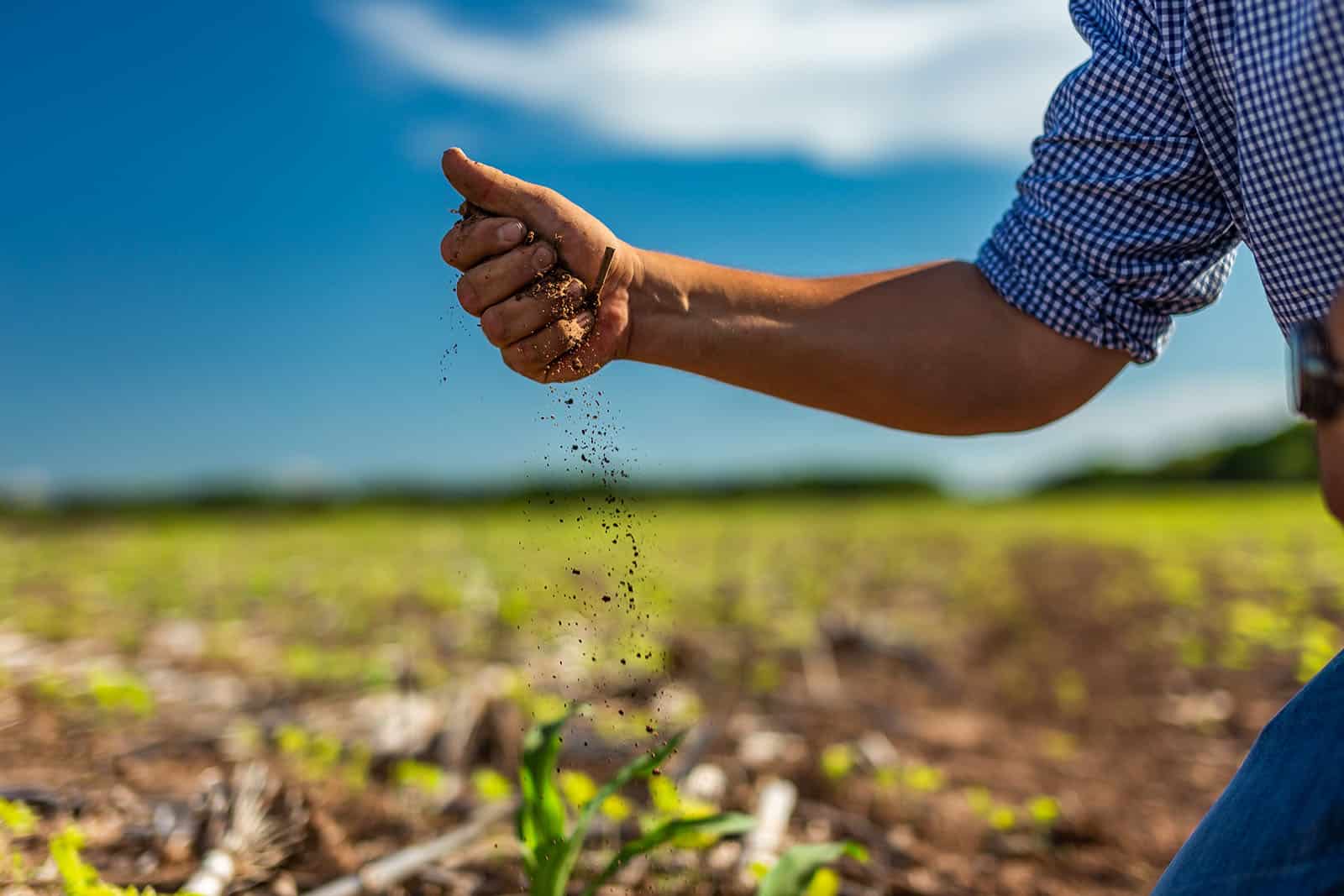 Preserva tierras agrícolas para las futuras generaciones
