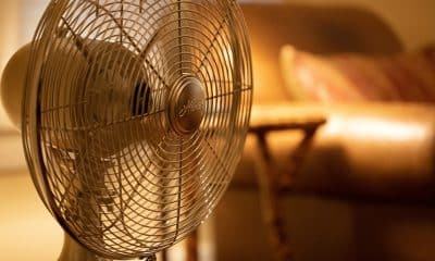 ¿Necesitas un ventilador este verano?