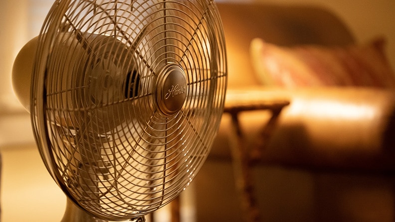 ¿Necesitas un ventilador este verano?