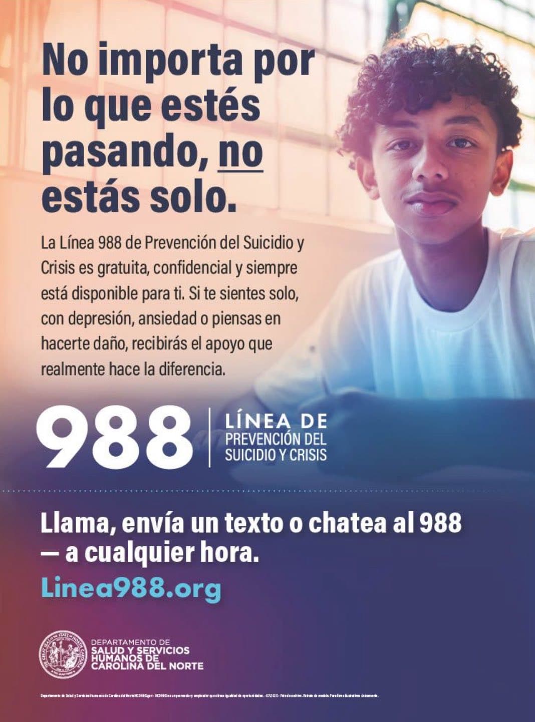 988: La línea de la vida