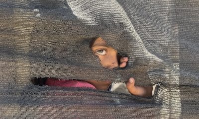 Imagen reciente de una niña que se asoma tras una tienda improvisada en el puerto en la Ciudad de Gaza. EFE/ Ahmad Awad