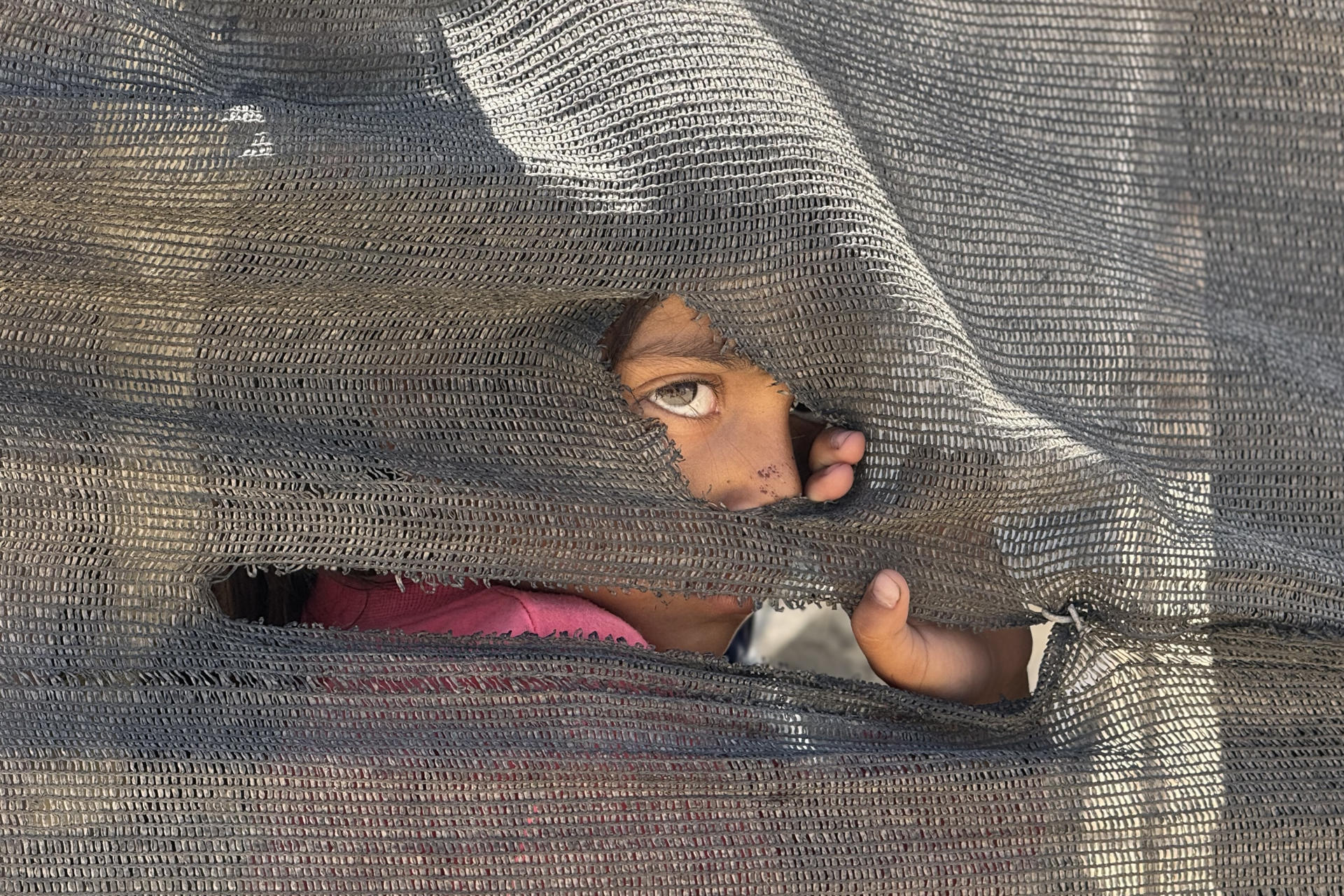 Imagen reciente de una niña que se asoma tras una tienda improvisada en el puerto en la Ciudad de Gaza. EFE/ Ahmad Awad