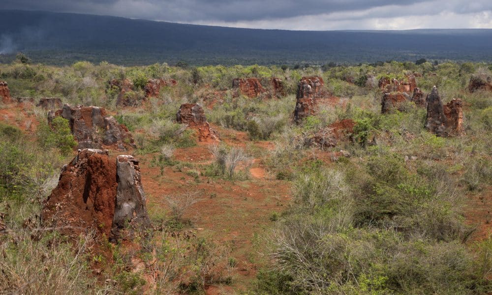 Imagen de archivo tomada en Pedernales, República Dominicana, el 19 de marzo de 2025, que muestra una reserva de tierras raras, elementos altamente codiciados en el mundo y esenciales para la fabricación de componentes electrónicos. EFE/ Orlando Barría