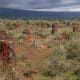 Imagen de archivo tomada en Pedernales, República Dominicana, el 19 de marzo de 2025, que muestra una reserva de tierras raras, elementos altamente codiciados en el mundo y esenciales para la fabricación de componentes electrónicos. EFE/ Orlando Barría