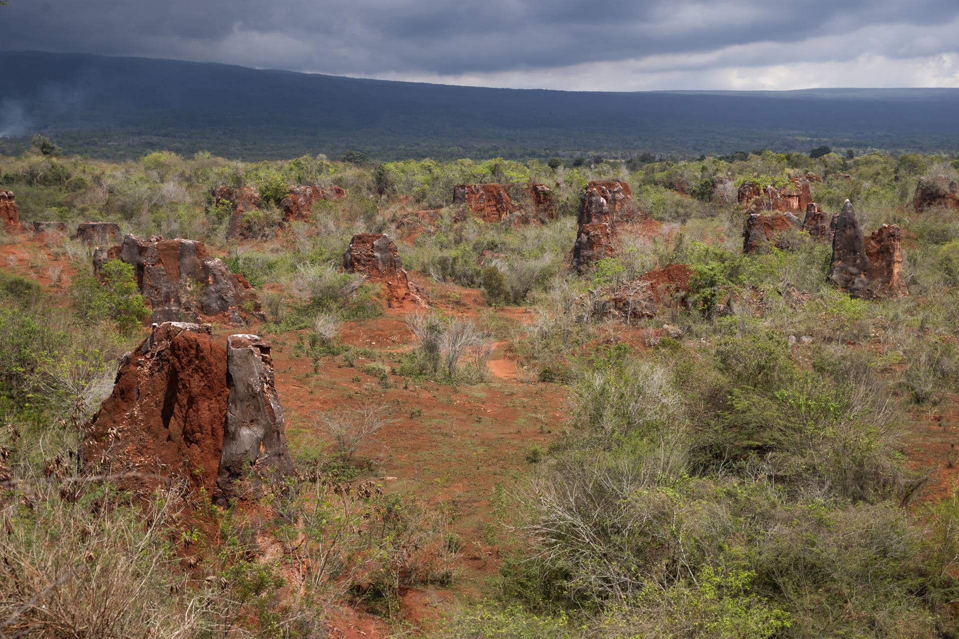 Imagen de archivo tomada en Pedernales, República Dominicana, el 19 de marzo de 2025, que muestra una reserva de tierras raras, elementos altamente codiciados en el mundo y esenciales para la fabricación de componentes electrónicos. EFE/ Orlando Barría
