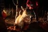Fotografía cedida por la Fundación Rewilding Chile que muestra a trabajadores del proyecto de repoblamiento del guanaco en la cordillera central, Región Metropolitana (Chile). EFE/ Fundación Rewilding Chile
