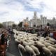 Un gran rebaño de ovejas y cabras atraviesa el centro histórico de Madrid en la XXXII edición de la Fiesta de la Trashumancia. EFE/Rodrigo Jiménez