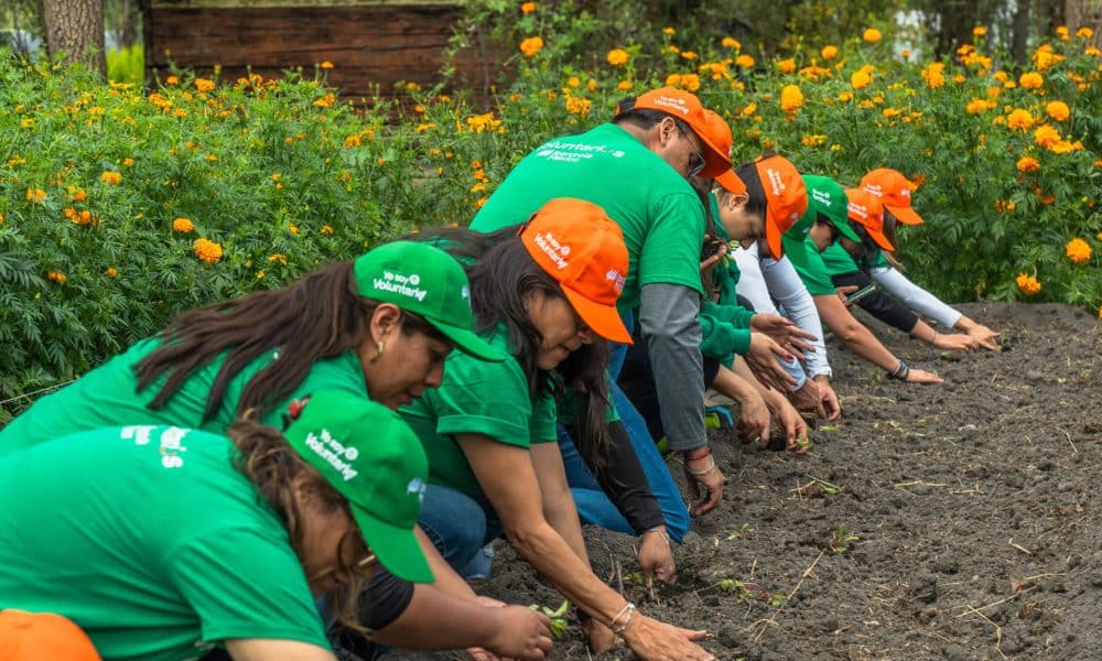Fotografía del 18 de octubre de 2025 cedida por Iberdrola México que muestra a personas participando en una actividad durante la Semana Internacional del Voluntariado 2025 en Xochimilco (México). EFE/ Iberdrola México /SOLO USO EDITORIAL/NO VENTAS/ SOLO DISPONIBLE PARA ILUSTRAR LA NOTICIA QUE ACOMPAÑA (CRÉDITO OBLIGATORIO)
