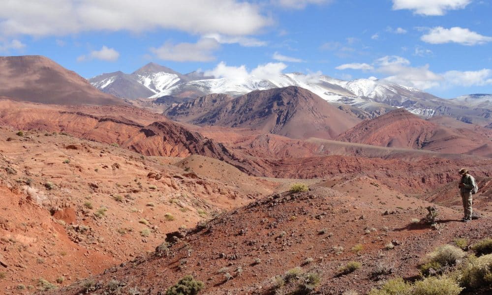 Lugar del yacimiento del Triásico Superior:  Quebrada de Santo Domingo, a una altitud de unos 3.000 metros en la precordillera de los Andes de La Rioja, al noroeste de Argentina. Fotografía por Agustín Martinelli, investigador del Consejo Nacional de Investigaciones Científicas y Técnicas (CONICET) argentino.