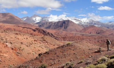 Lugar del yacimiento del Triásico Superior:  Quebrada de Santo Domingo, a una altitud de unos 3.000 metros en la precordillera de los Andes de La Rioja, al noroeste de Argentina. Fotografía por Agustín Martinelli, investigador del Consejo Nacional de Investigaciones Científicas y Técnicas (CONICET) argentino.