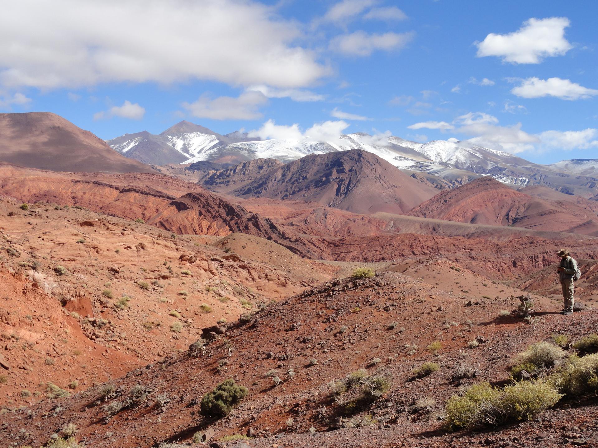 Lugar del yacimiento del Triásico Superior:  Quebrada de Santo Domingo, a una altitud de unos 3.000 metros en la precordillera de los Andes de La Rioja, al noroeste de Argentina. Fotografía por Agustín Martinelli, investigador del Consejo Nacional de Investigaciones Científicas y Técnicas (CONICET) argentino.