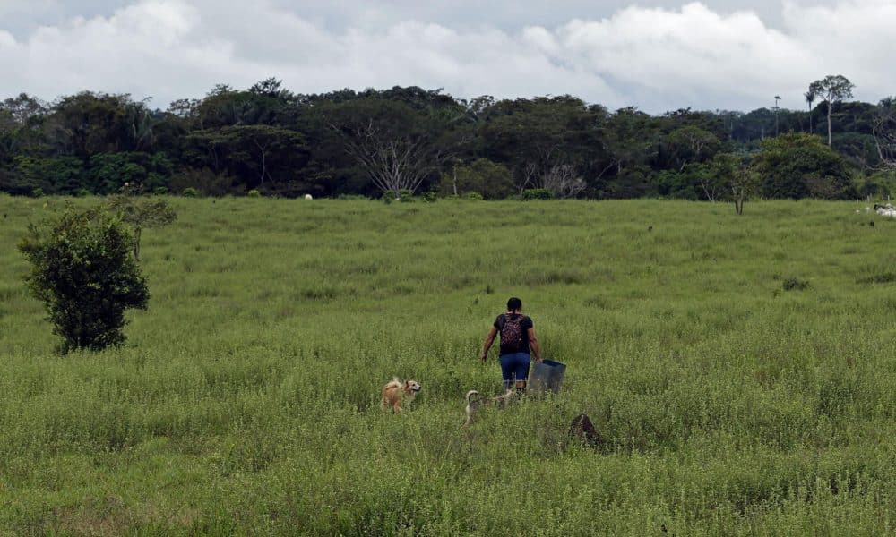 Campesinos caminan por los campos deforestados en Guaviare (Colombia), en una imagen de archivo. EFE/ Mauricio Dueñas Castañeda
