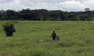 Campesinos caminan por los campos deforestados en Guaviare (Colombia), en una imagen de archivo. EFE/ Mauricio Dueñas Castañeda