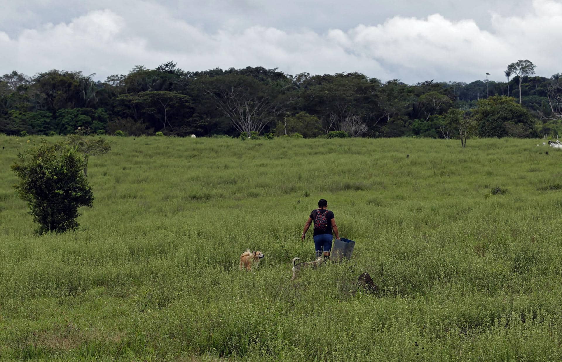 Campesinos caminan por los campos deforestados en Guaviare (Colombia), en una imagen de archivo. EFE/ Mauricio Dueñas Castañeda