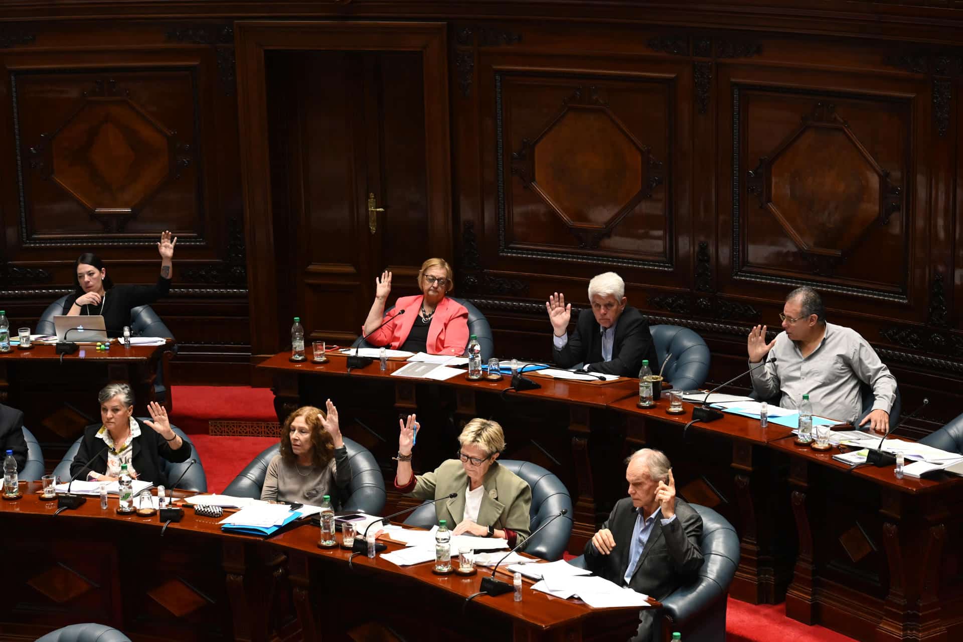 Un grupo de senadores uruguayos de la bancada del Frente Amplio al votar este miércoles, 15 de octubre, durante el debate del proyecto de ley "Muerte Digna", que legaliza la eutanasia en Uruguay, en la sede del Parlamento en Montevideo. EFE/Federico Gutiérrez