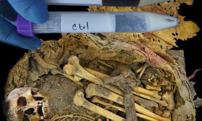 El hombre de Zimapán, también conocido como Hna Hnu, fue un habitante de la frontera mesoamericana que vivió hace 1.000 años y proporcionó información valiosa sobre la asociación entre el microbioma y la dieta. Fotografía facilitada por Rene Cerritos Flores.