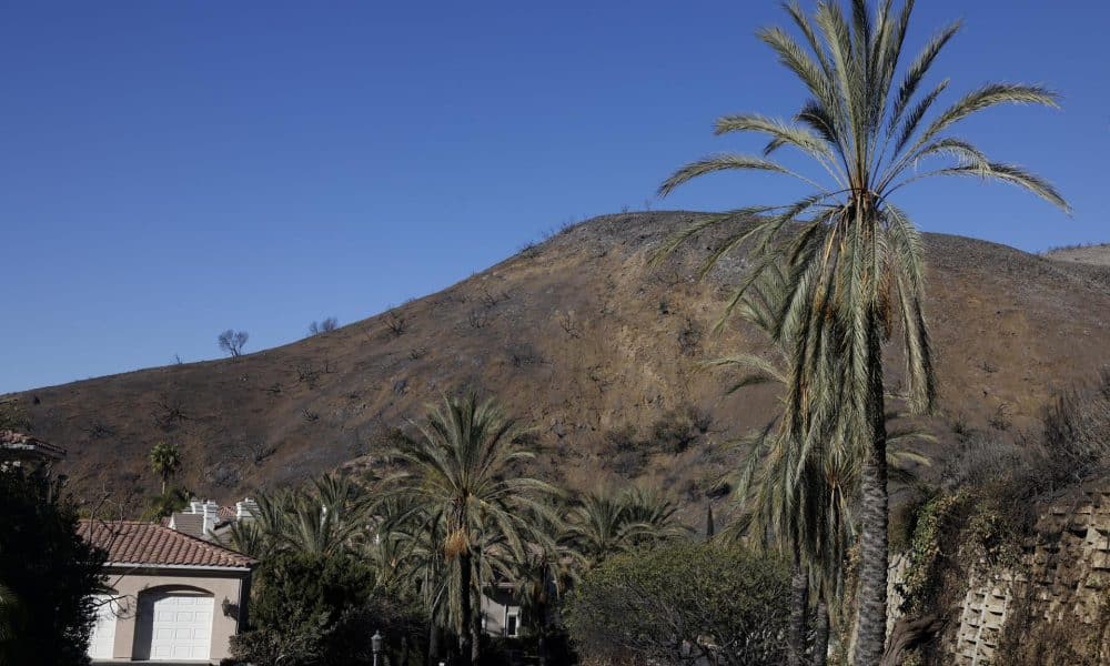 Fotografía de archivo de un sector de Palisades, Los Ángeles, California. EFE/CAROLINE BREHMAN