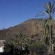 Fotografía de archivo de un sector de Palisades, Los Ángeles, California. EFE/CAROLINE BREHMAN