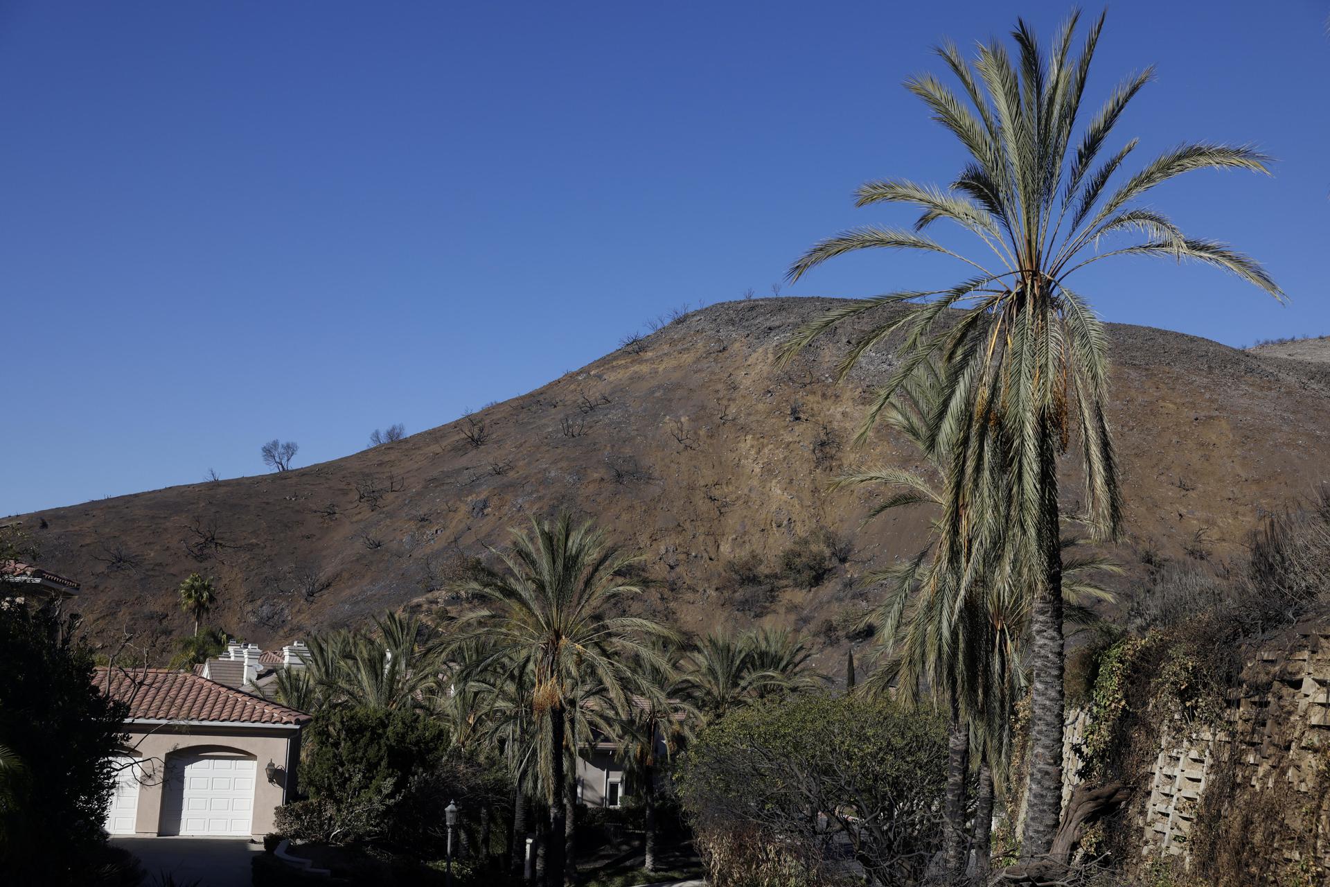 Fotografía de archivo de un sector de Palisades, Los Ángeles, California. EFE/CAROLINE BREHMAN