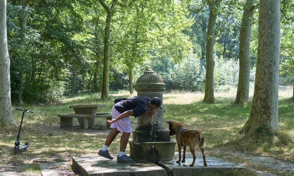 Un hombre y su perro se refrescan en un parque del anillo verde de Vitoria, en una imagen de archivo. EFE/ L. Rico