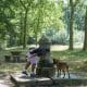 Un hombre y su perro se refrescan en un parque del anillo verde de Vitoria, en una imagen de archivo. EFE/ L. Rico