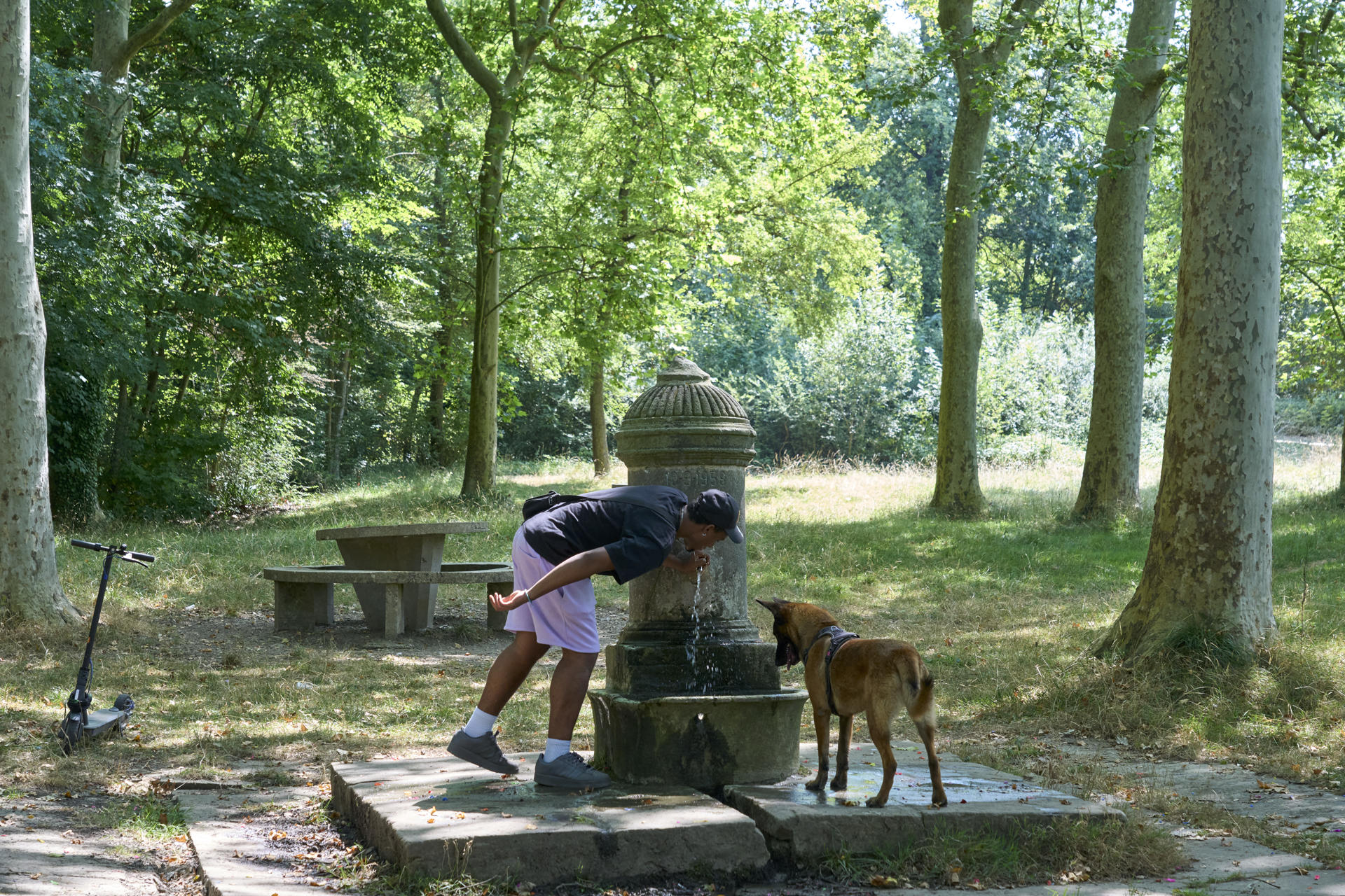 Un hombre y su perro se refrescan en un parque del anillo verde de Vitoria, en una imagen de archivo. EFE/ L. Rico