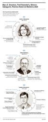 El Nobel de Medicina o Fisiología ha distinguido este lunes a los estadounidenses Mary E. Brunkow y Fred Ramsdell y al japonés Shimon Sakaguchi por revelar cómo se autorregula el sistema inmune. EFE