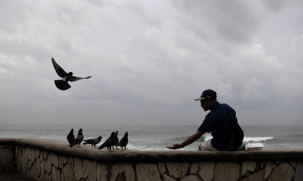 Una persona alimenta a las palomas en la playa Güibia en Santo Domingo (República Dominicana). EFE/ Orlando Barría