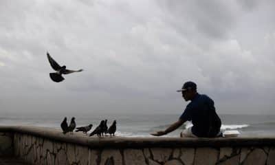 Una persona alimenta a las palomas en la playa Güibia en Santo Domingo (República Dominicana). EFE/ Orlando Barría