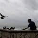 Una persona alimenta a las palomas en la playa Güibia en Santo Domingo (República Dominicana). EFE/ Orlando Barría