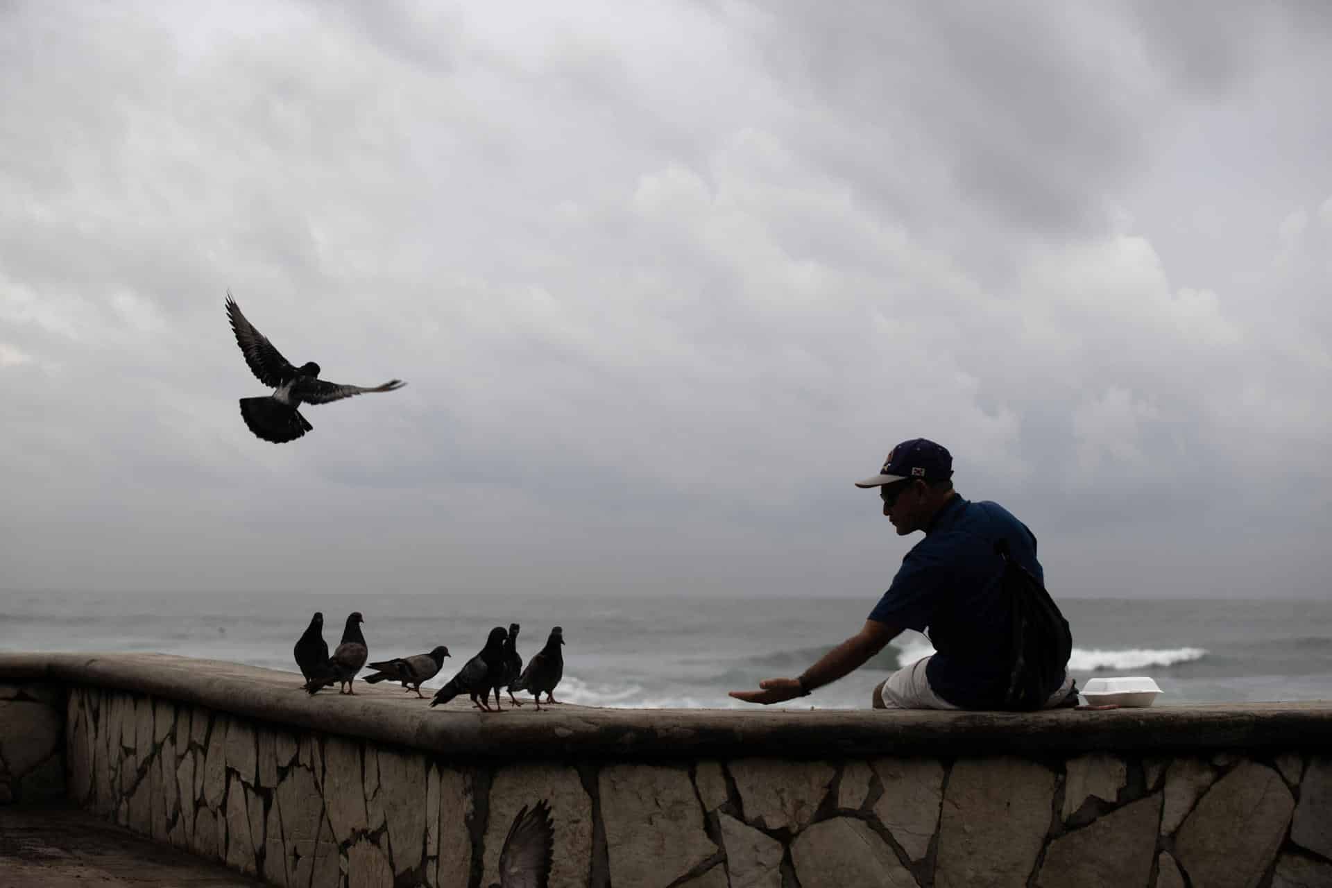 Una persona alimenta a las palomas en la playa Güibia en Santo Domingo (República Dominicana). EFE/ Orlando Barría