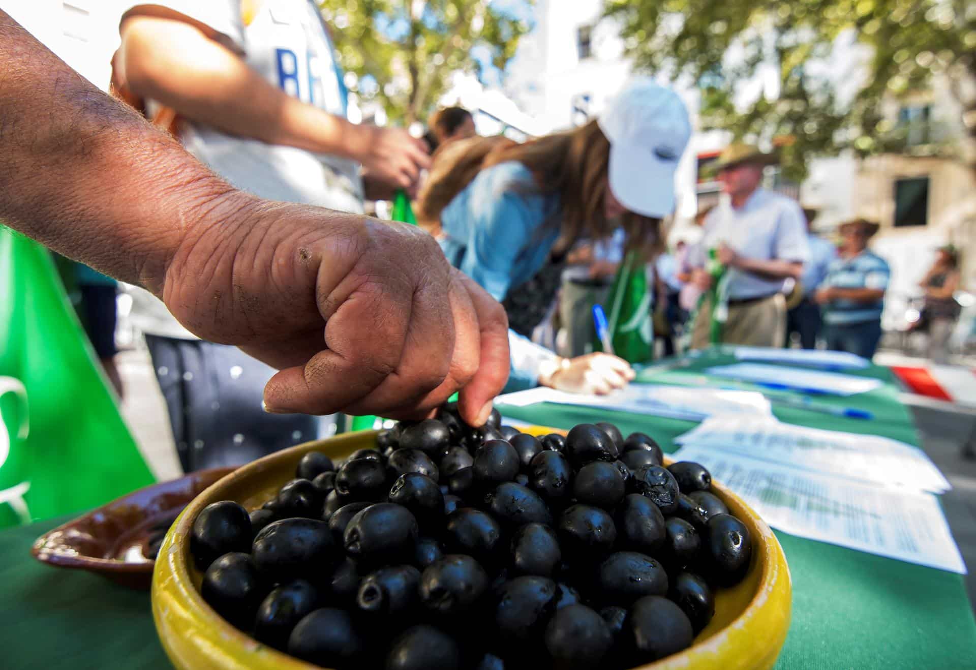 Agricultores, cooperativistas, entamadores y envasadores de aceituna de mesa, se han concentrado frente al consulado de EE.UU. en Sevilla para pedir la retirada de los aranceles impuestos por el Gobierno estadounidense a la aceituna negra española.- EFE/Raúl Caro/Archivo