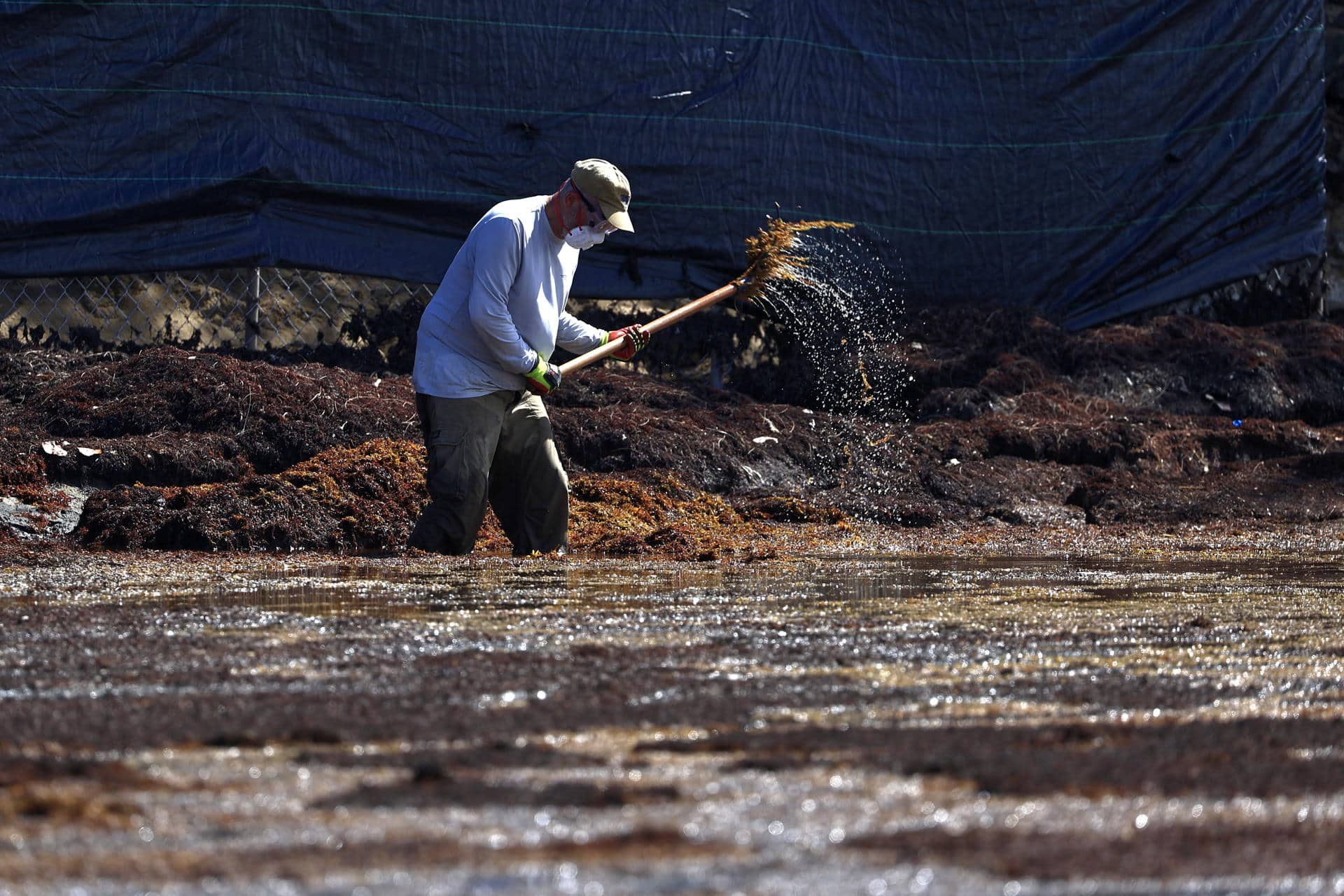 Fotografía de archivo que muestra a un voluntario limpiando la playa de El Escambrón, en San Juan (Puerto Rico). EFE/ Thais Llorca