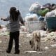 Fotografía de archivo de un niño con su perro caminando rumbo a su casa entre montañas de basura en el vertedero municipal del Bordo de Xochiaca, en Ciudad Nezahualcoyotl (México). EFE/Alex Cruz