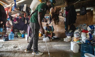 Fotografía del 14 de octubre de 2025 de un funcionario fumigando un campamento de desplazados en Petionville en Puerto Príncipe (Haití). EFE/ Mentor David Lorens