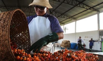 Brasil, la mayor economía de Latinoamérica, ha reforzado su apuesta por poner en marcha una nueva industria más verde. EFE/ Carlos Meneses