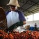 Brasil, la mayor economía de Latinoamérica, ha reforzado su apuesta por poner en marcha una nueva industria más verde. EFE/ Carlos Meneses