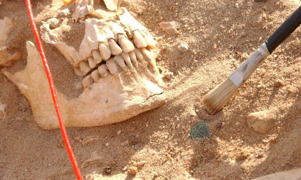 Cráneo de un soldado del ejército de Napoleón junto a un botón de un uniforme de soldado. Crédito: Michel Signoli, Aix-Marseille Université/EFE
