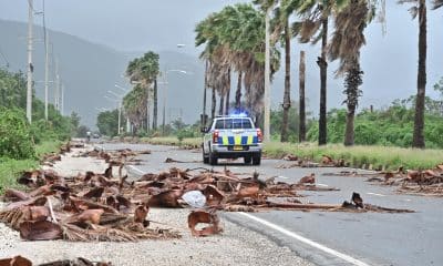 Un vehículo de la policía patrulla una carretera llena de escombros de árboles debido al paso del huracán Melissa, en Kingston (Jamaica). EFE/Rudolph Brown