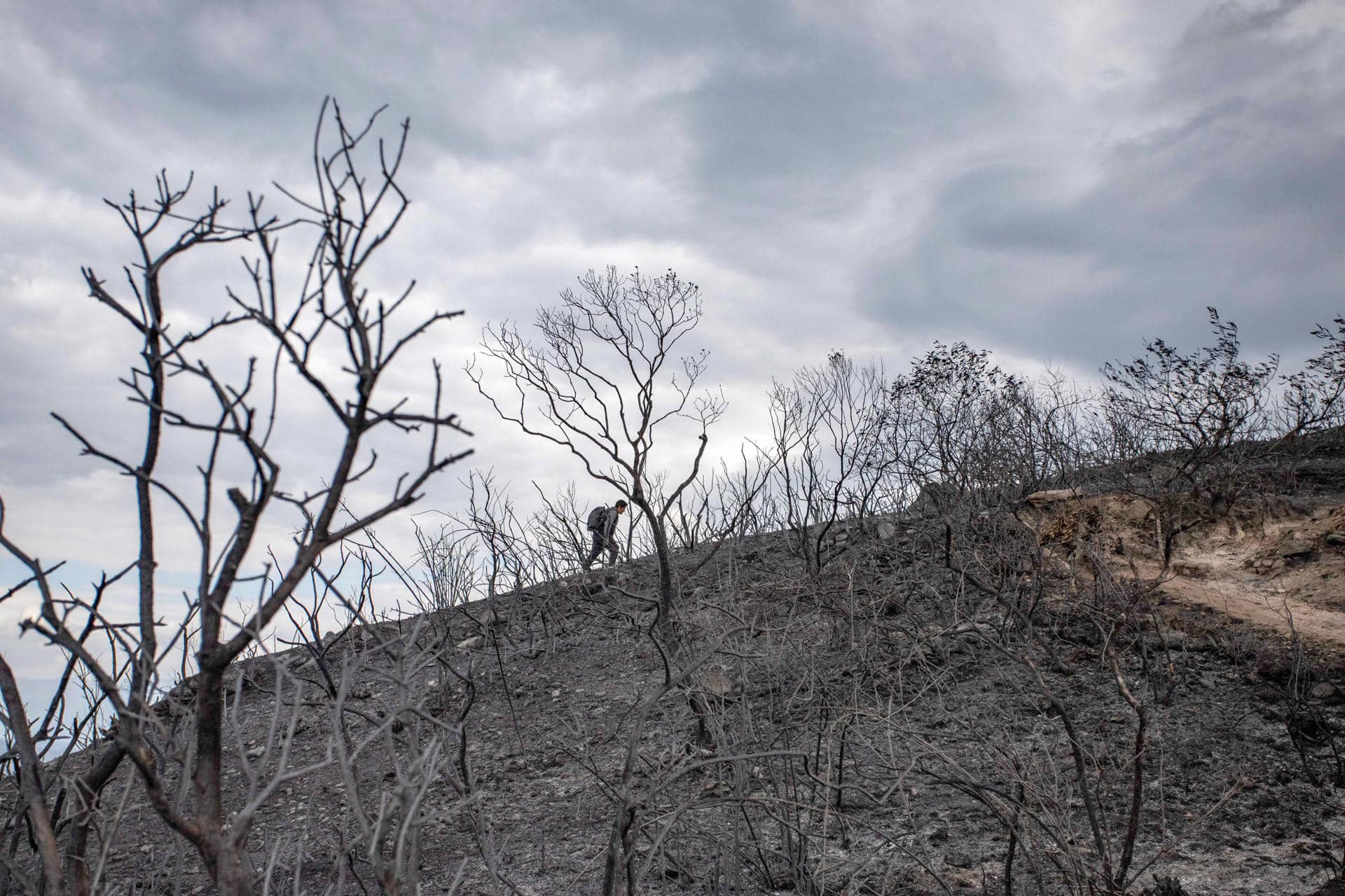Fotografía de archivo del 24 de septiembre de 2024 de una persona caminando en medio de un área quemada por los incendios forestales en el departamento de Amazonas (Perú). EFE/Miguel Gutierrez Chero