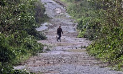 Una persona camina en una carretera ayer miércoles, en el poblado de Guama en Santiago de Cuba (Cuba). EFE/ Ernesto Mastrascusa