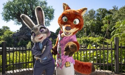 Fotografía cedida por Disney donde aparecen los personajes Judy Hopps (i) y Nick Wilde estrenando sus nuevos looks inspirados en la película 'Zootopia 2' de Walt Disney Studios que se verán en el parque temático Animal Kingdom en Walt Disney World Resort, Florida (EE.UU.). EFE/ Amy Smith /Disney/ SOLO USO EDITORIAL/NO VENTAS/SOLO DISPONIBLE PARA ILUSTRAR LA NOTICIA QUE ACOMPAÑA (CRÉDITO OBLIGATORIO)