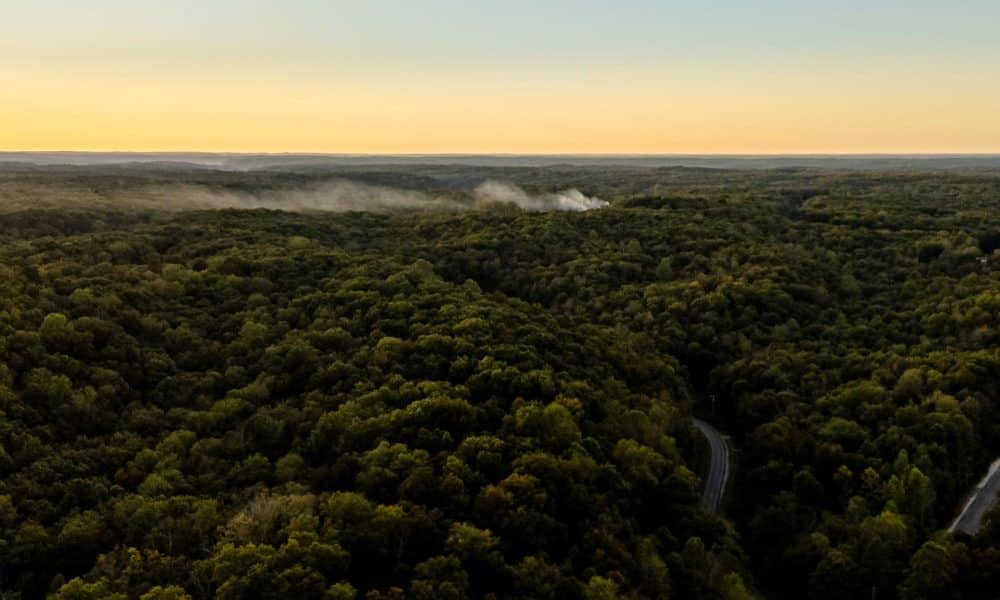 Se elevan columnas de humo a lo lejos después de que una explosión en Accurate Energetic Systems dejara al menos 19 personas desaparecidas, según funcionarios en McEwen, Tennessee, EE. UU., el 10 de octubre de 2025.  EFE/EPA/Martin B. Cherry